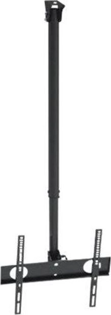 Mount TV 50kg MC-631 Maclean AJMCLTMACLMC631
