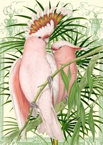 B6 card with an envelope Pink