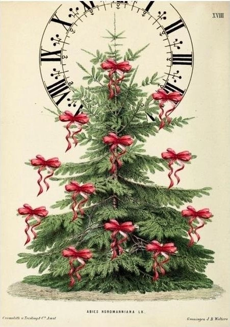 B6 pass with envelope Christmas tree