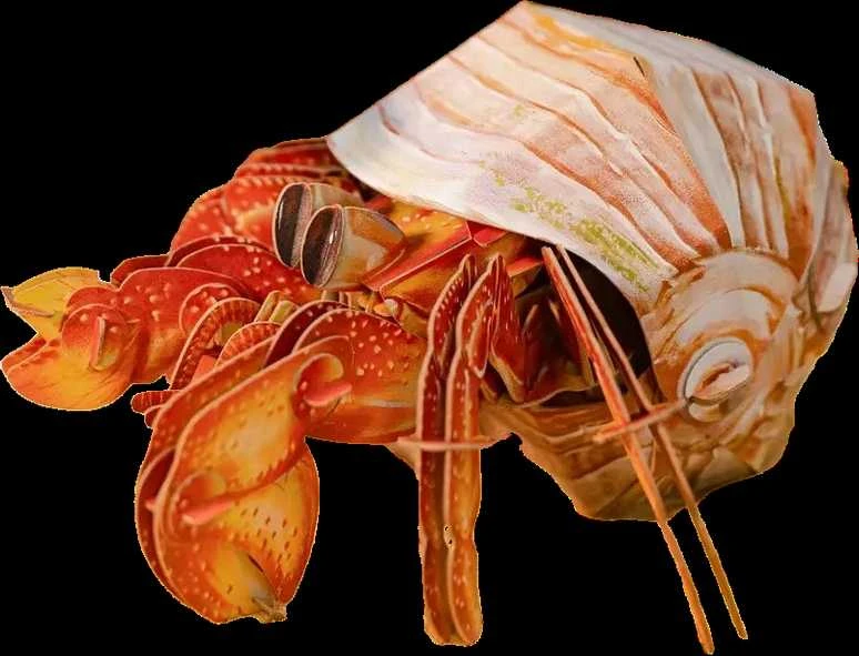 MAKEBUG 3D popierinė delionė Krabas atsiskyrėlis