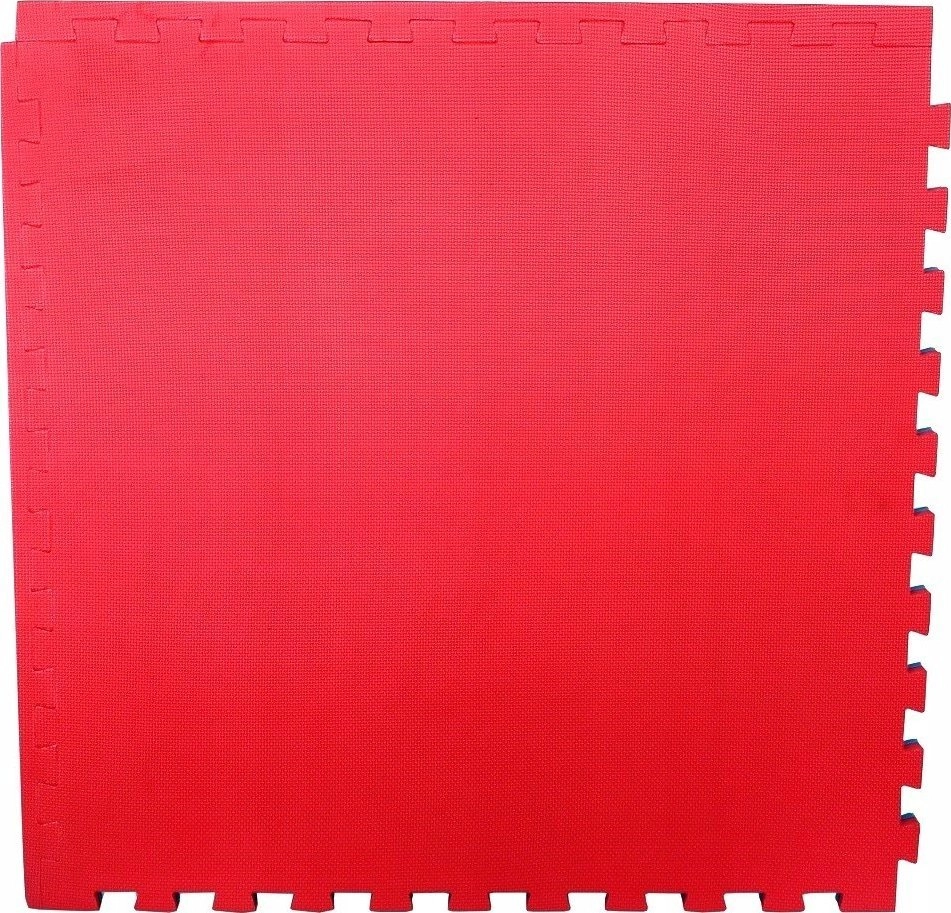 Master Puzzle mat for Exercise 100