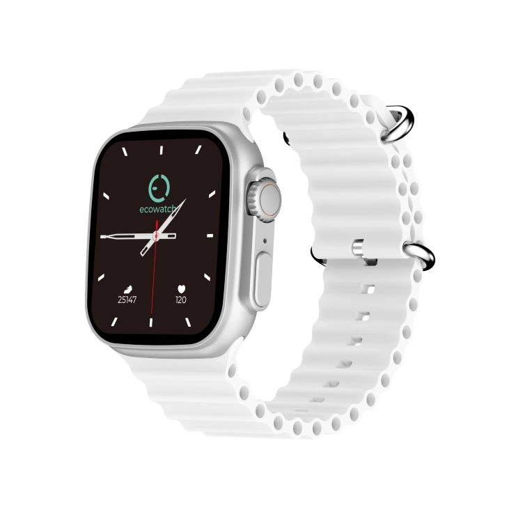 Ecowatch 2 Silver