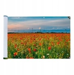 Maximex UV-resistant balcony cover  500 x