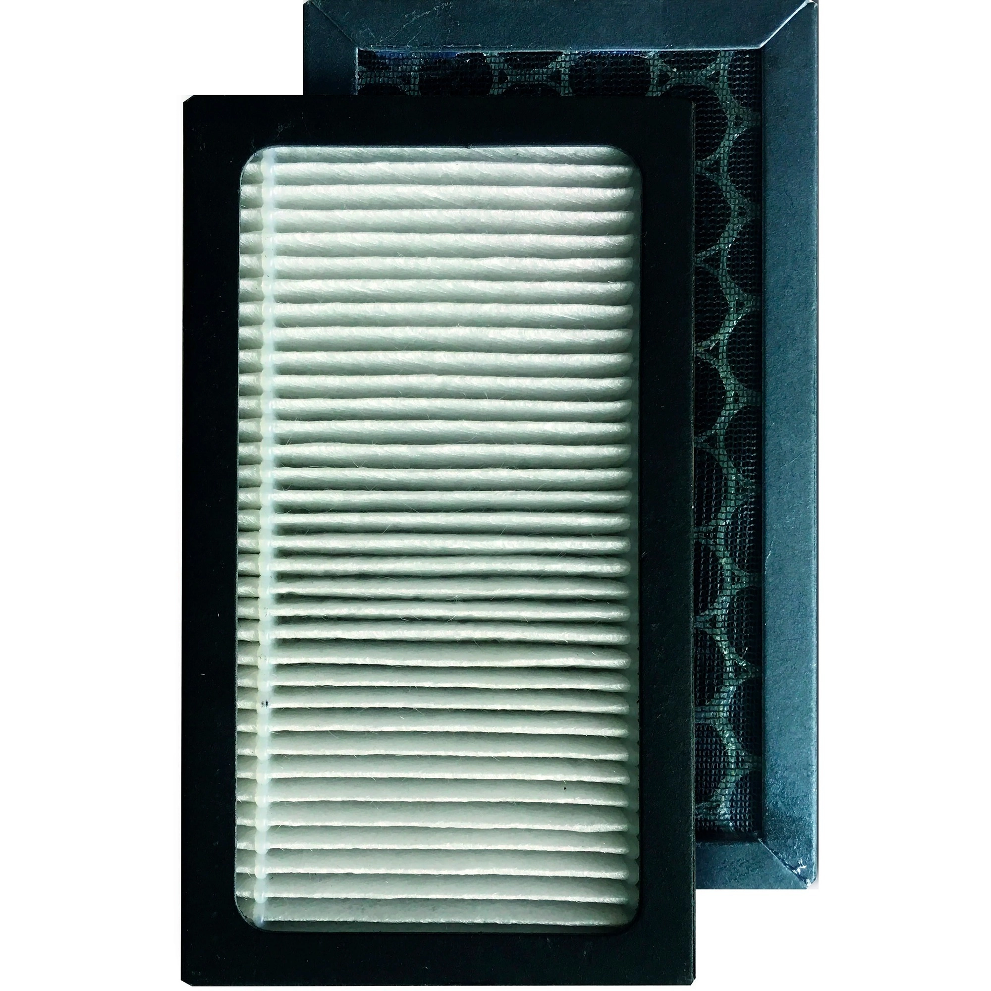 Deluxe 202 HEPA/Carbon Filter  Pack of