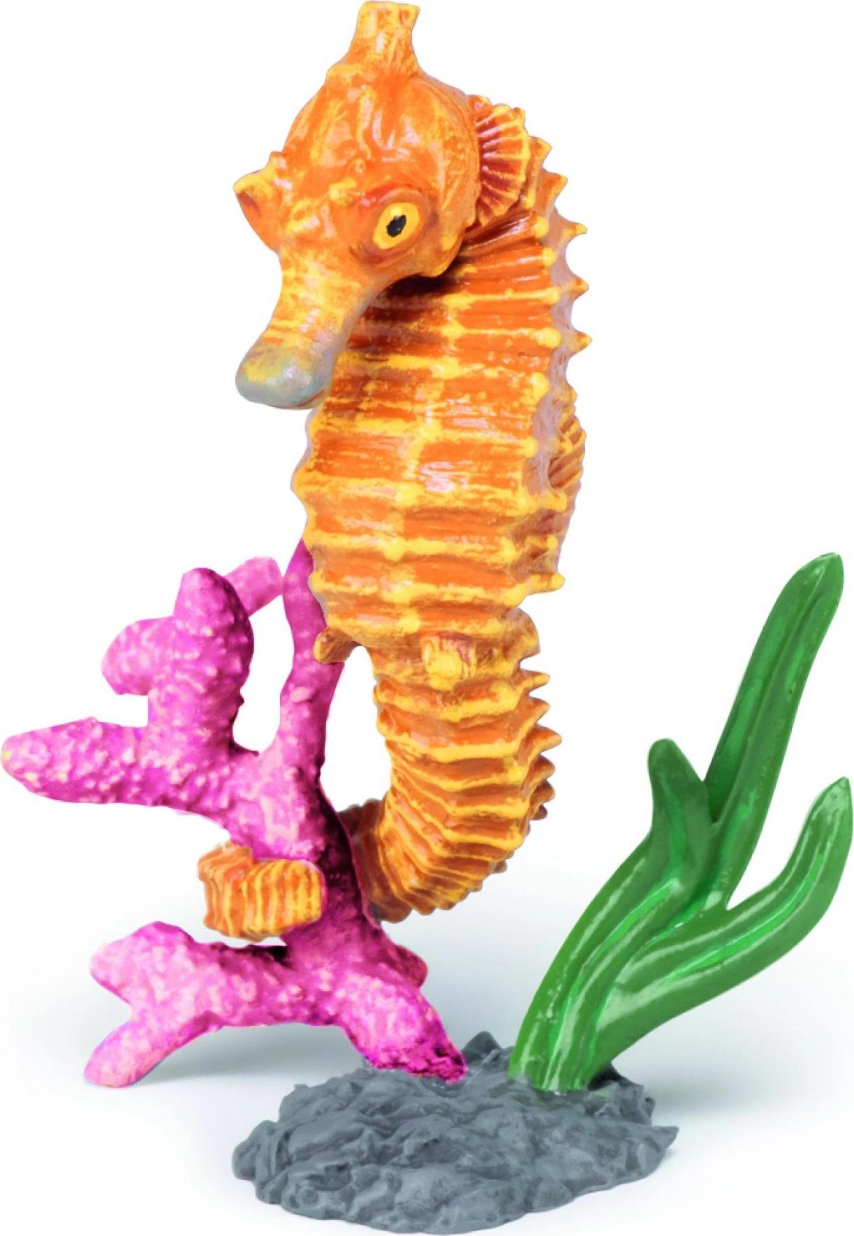 Seahorse 3465000560515 582578