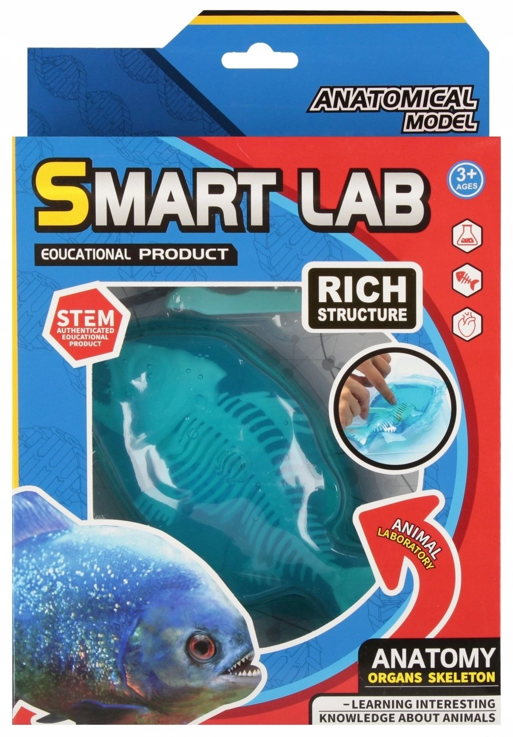 Mega Creative ZEST SCIENTIST ANATOMY FISH