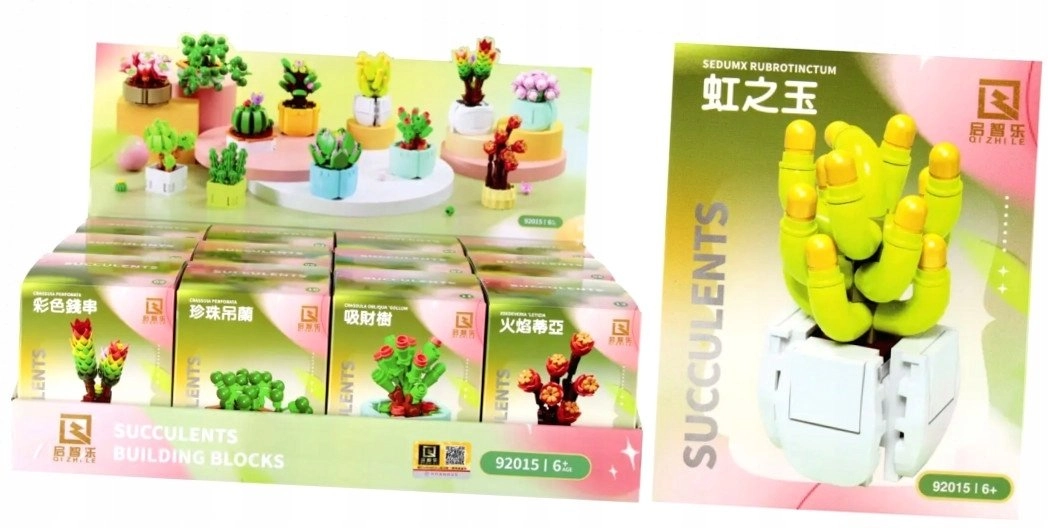 CONSTR BRICKS BOUQUET 8X8X10 MIX MC