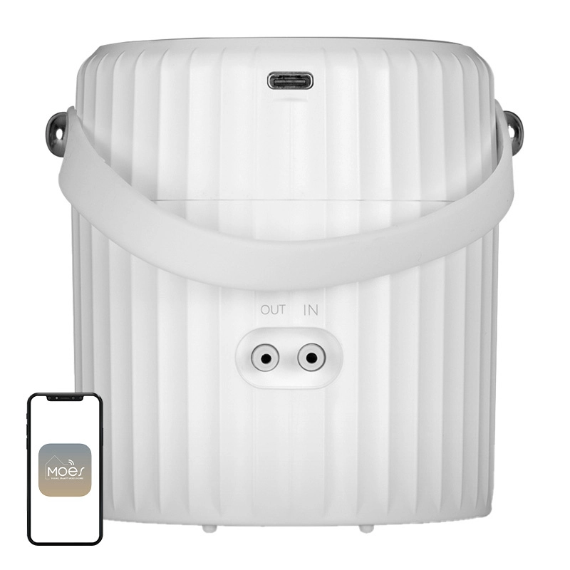 MOES WWP-BY-808 Wi-Fi Irrigation Pump 087547