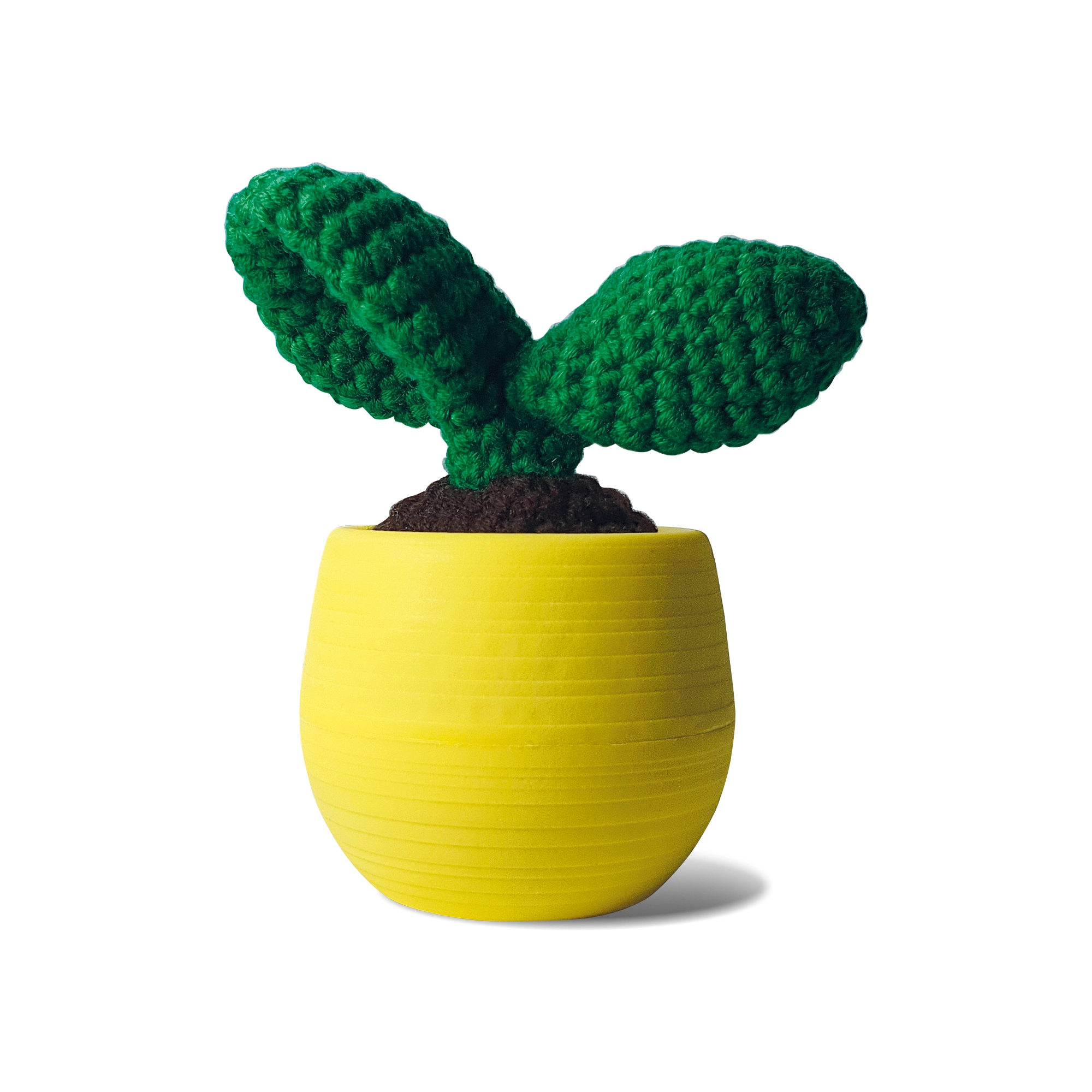 Mustard - Crochet Cacti - Green