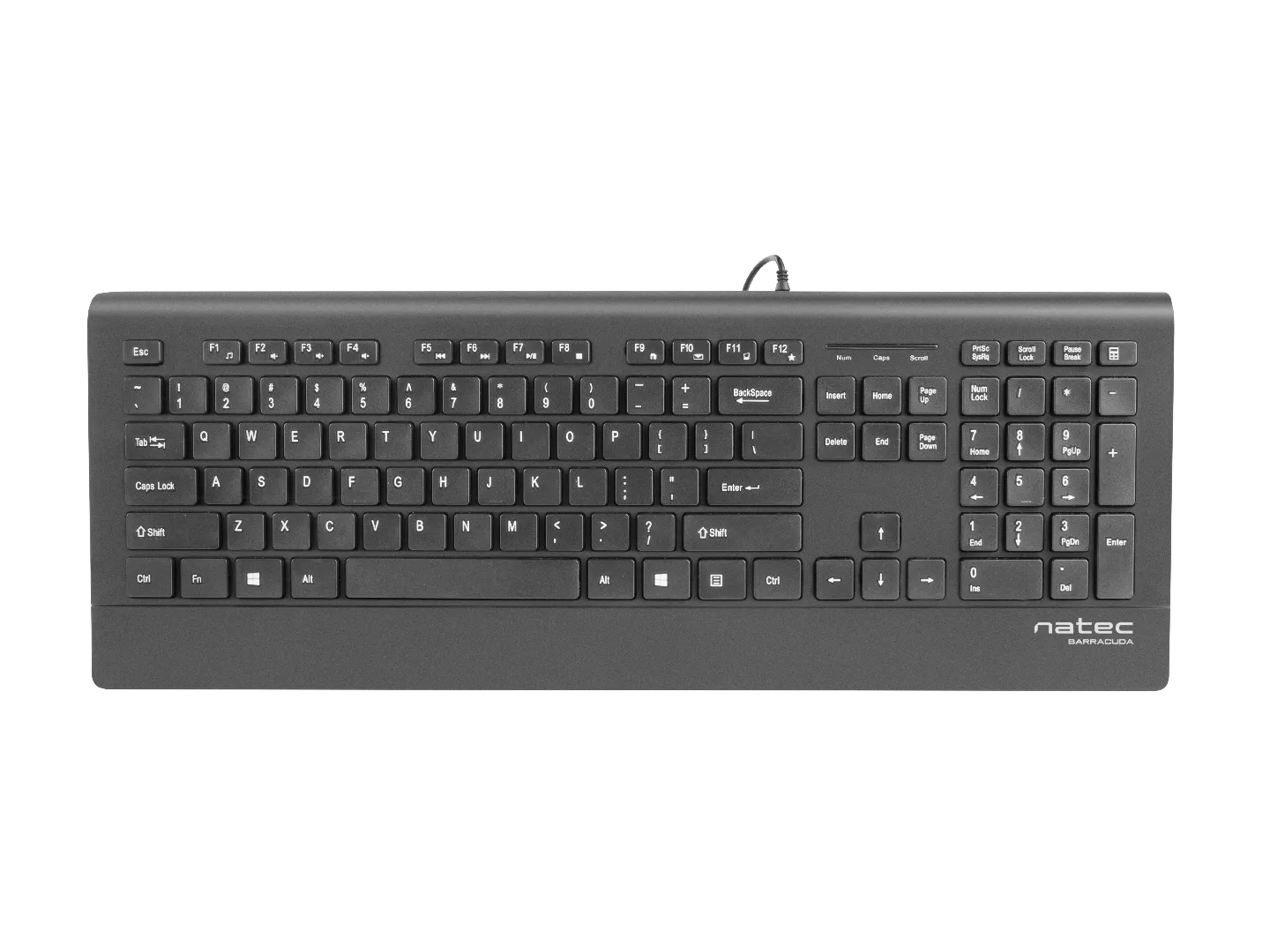 NATEC Barracuda keyboard Universal USB QWERTY