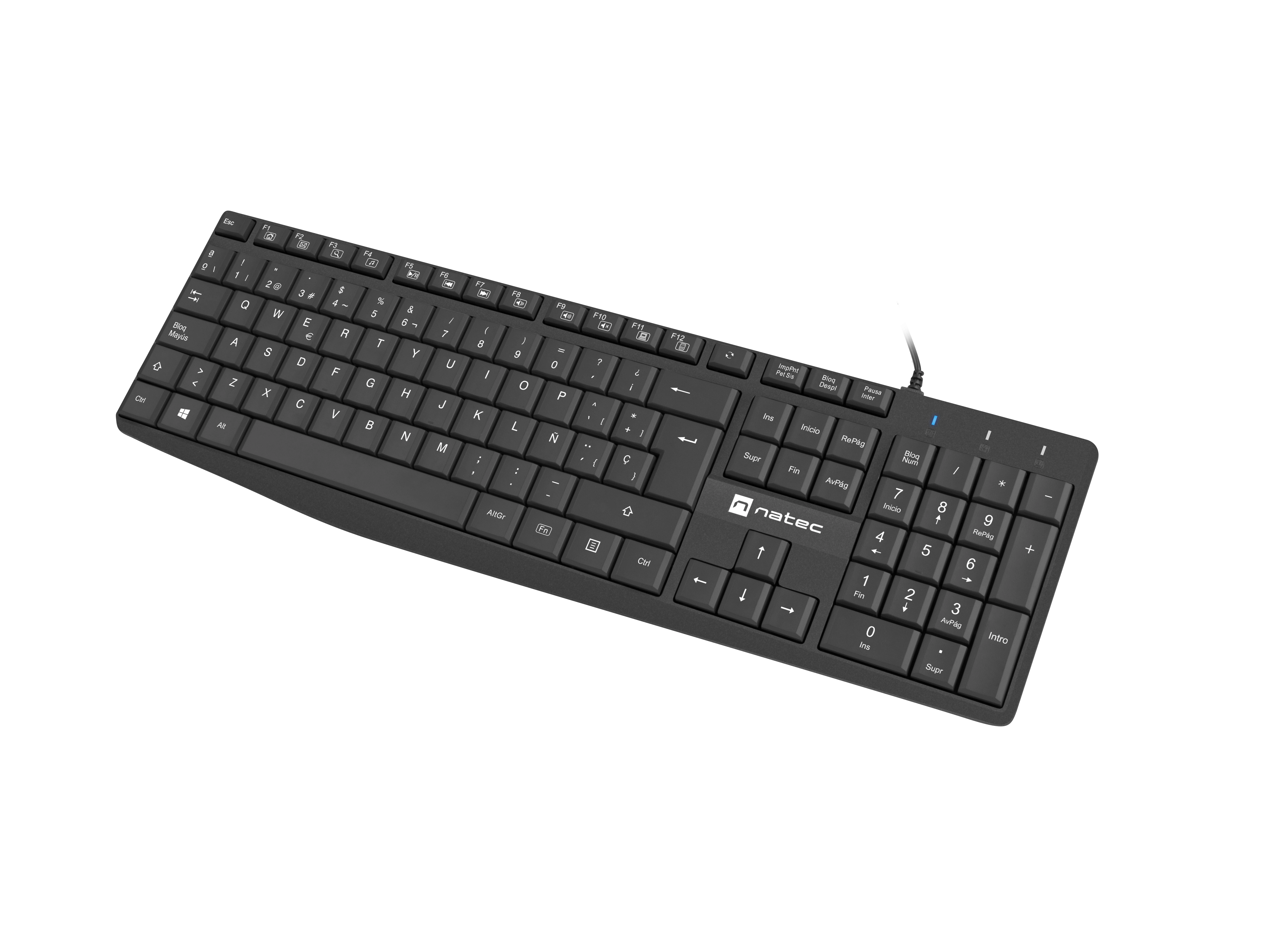 NATEC NKL-1948 keyboard Universal USB QWERTY