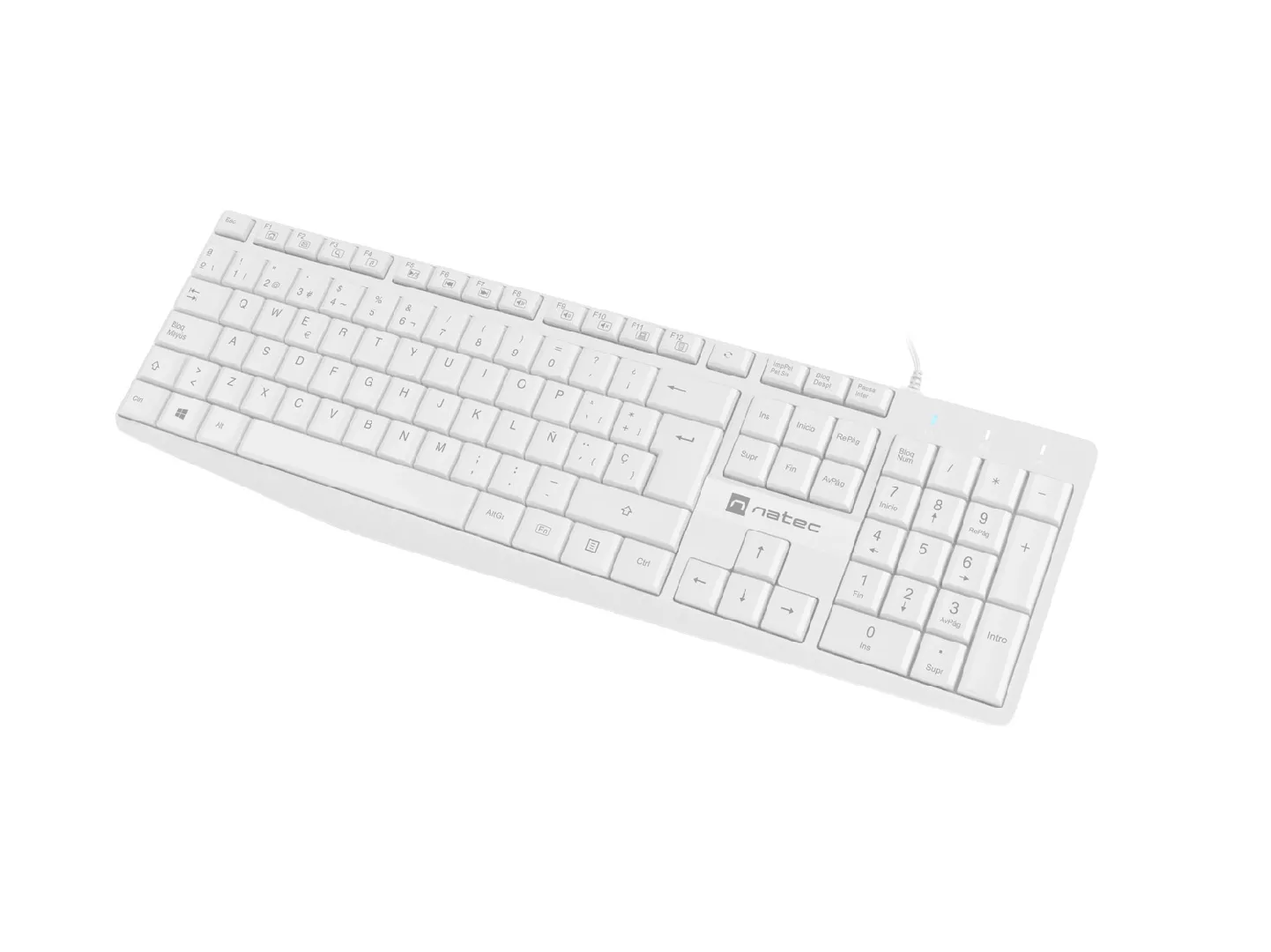 NATEC NKL-1949 keyboard Universal USB QWERTY