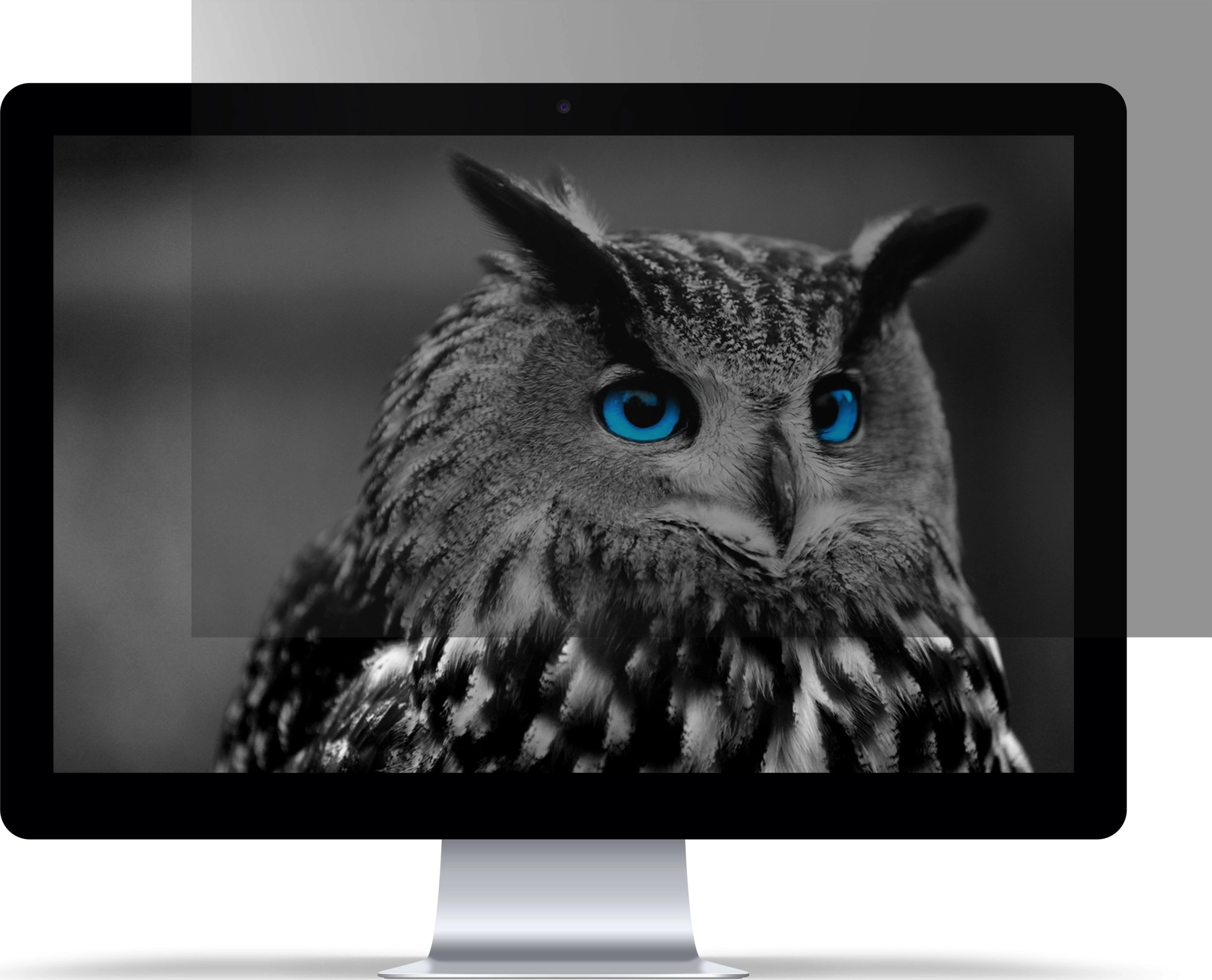 Filtr Natec prywatyzujący RODO OWL 16apos