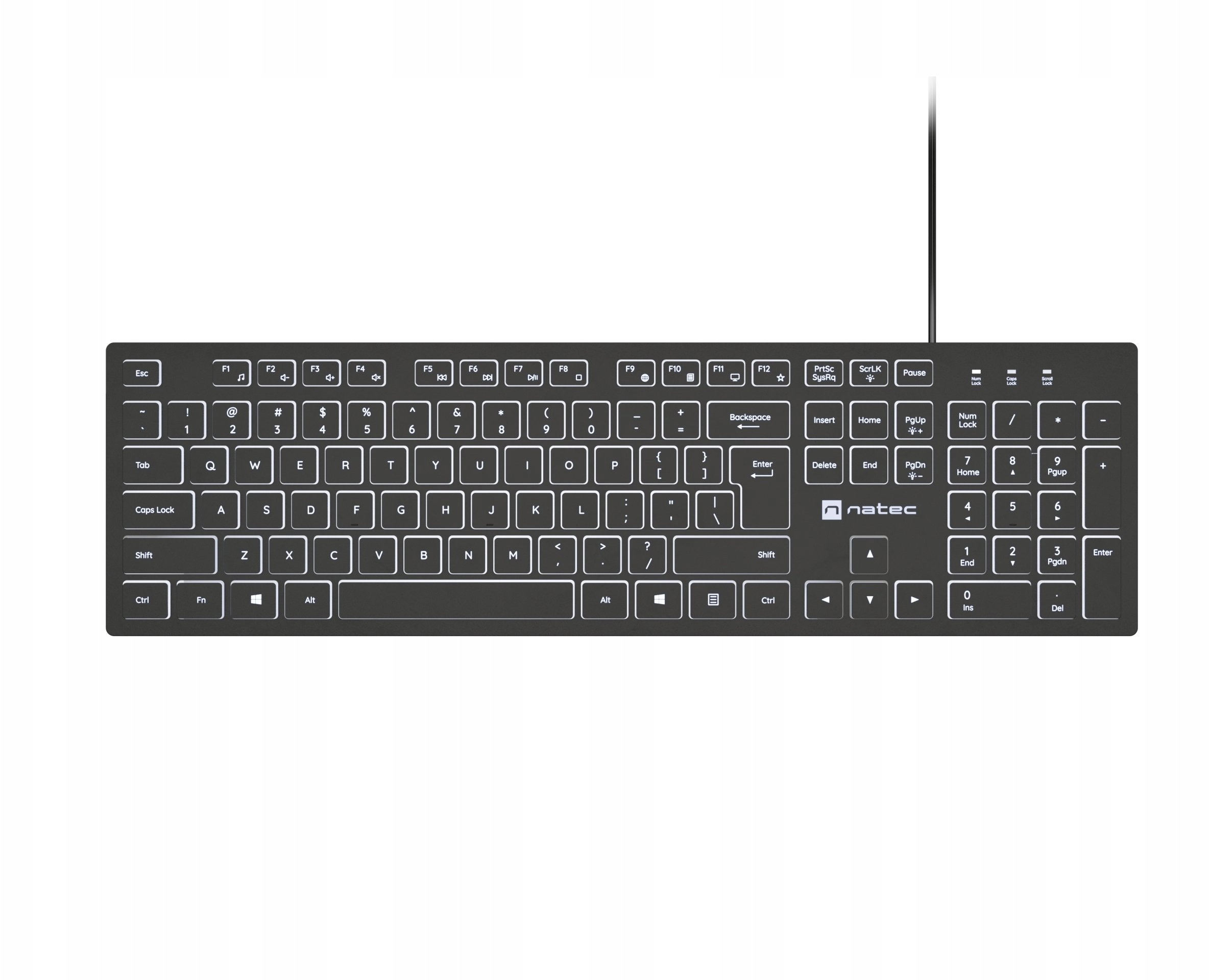 Natec Herring Glow US Keyboard with