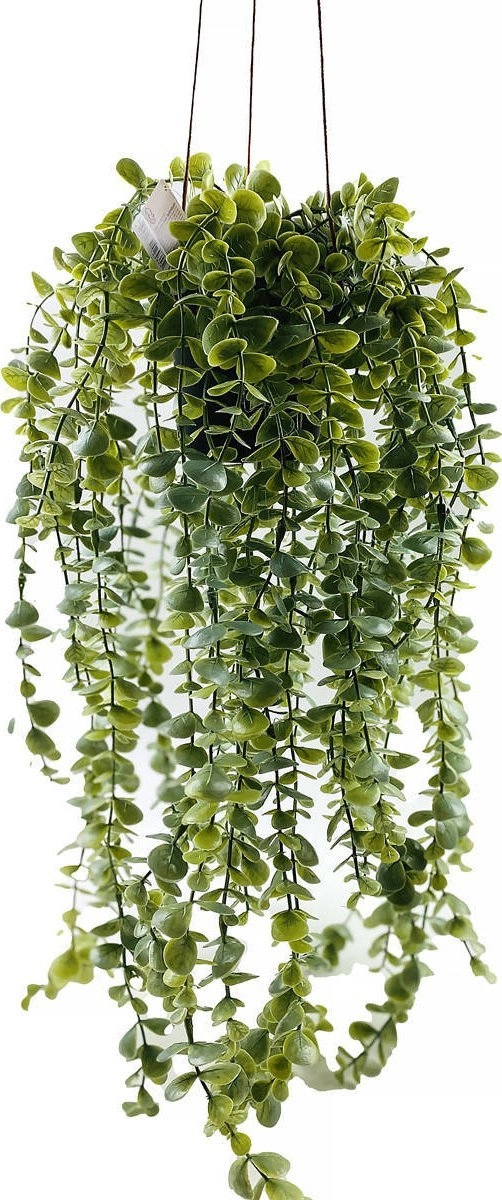 Artificial hanging plant SENECIO  60 cm