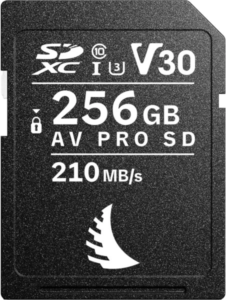 Card Angelbird AV PRO SD 256GB