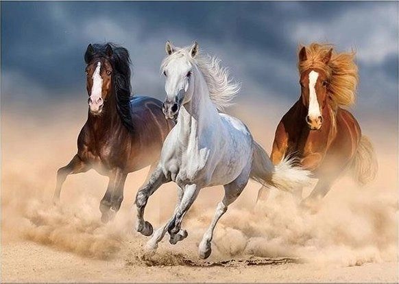 5D diamond mosaic - Horses 40x30cm