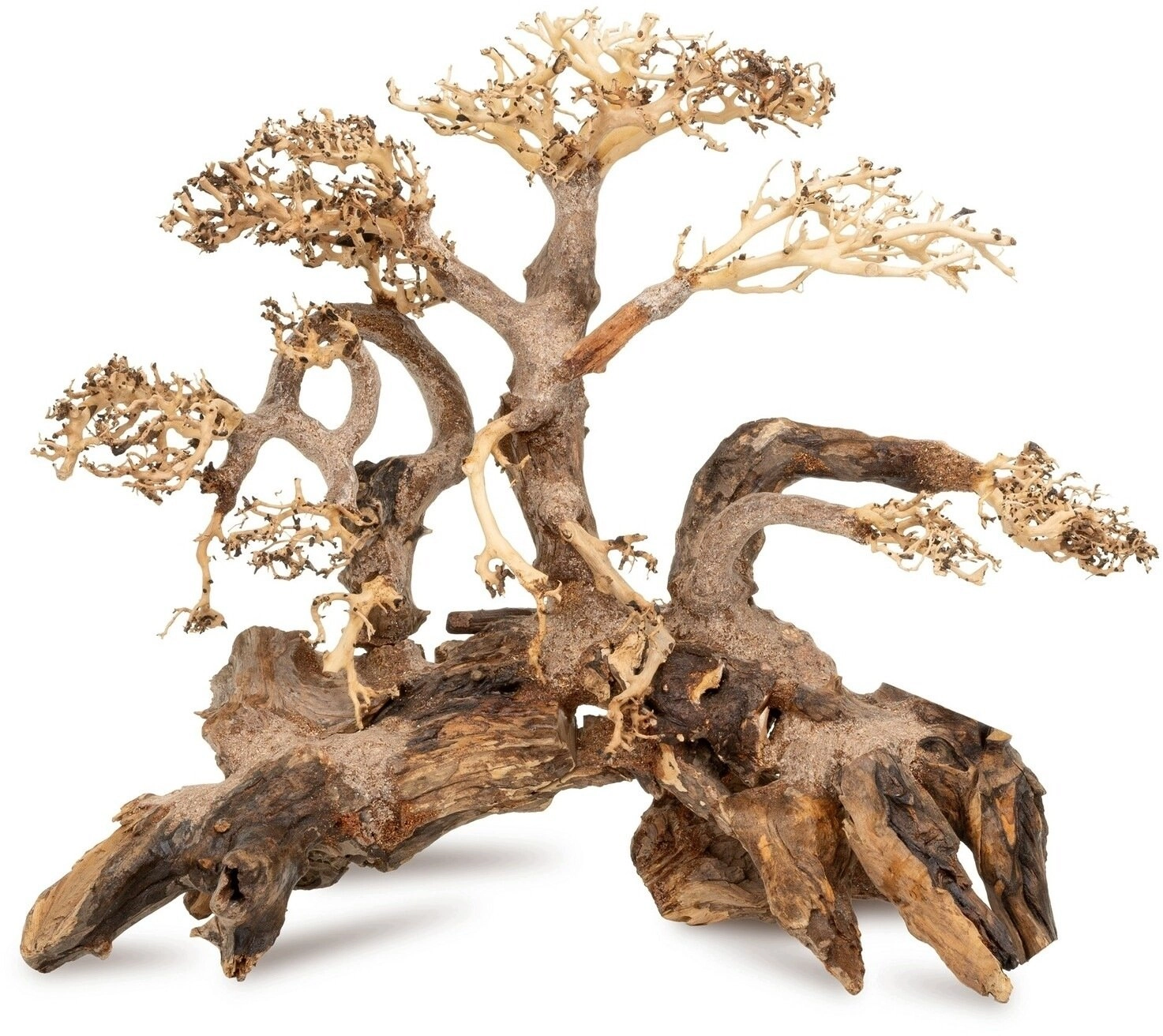 Tonące drzewo Bonsai nr 59 50x40