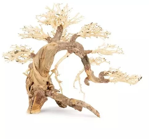 Tonące drzewo Bonsai nr 13 50x40