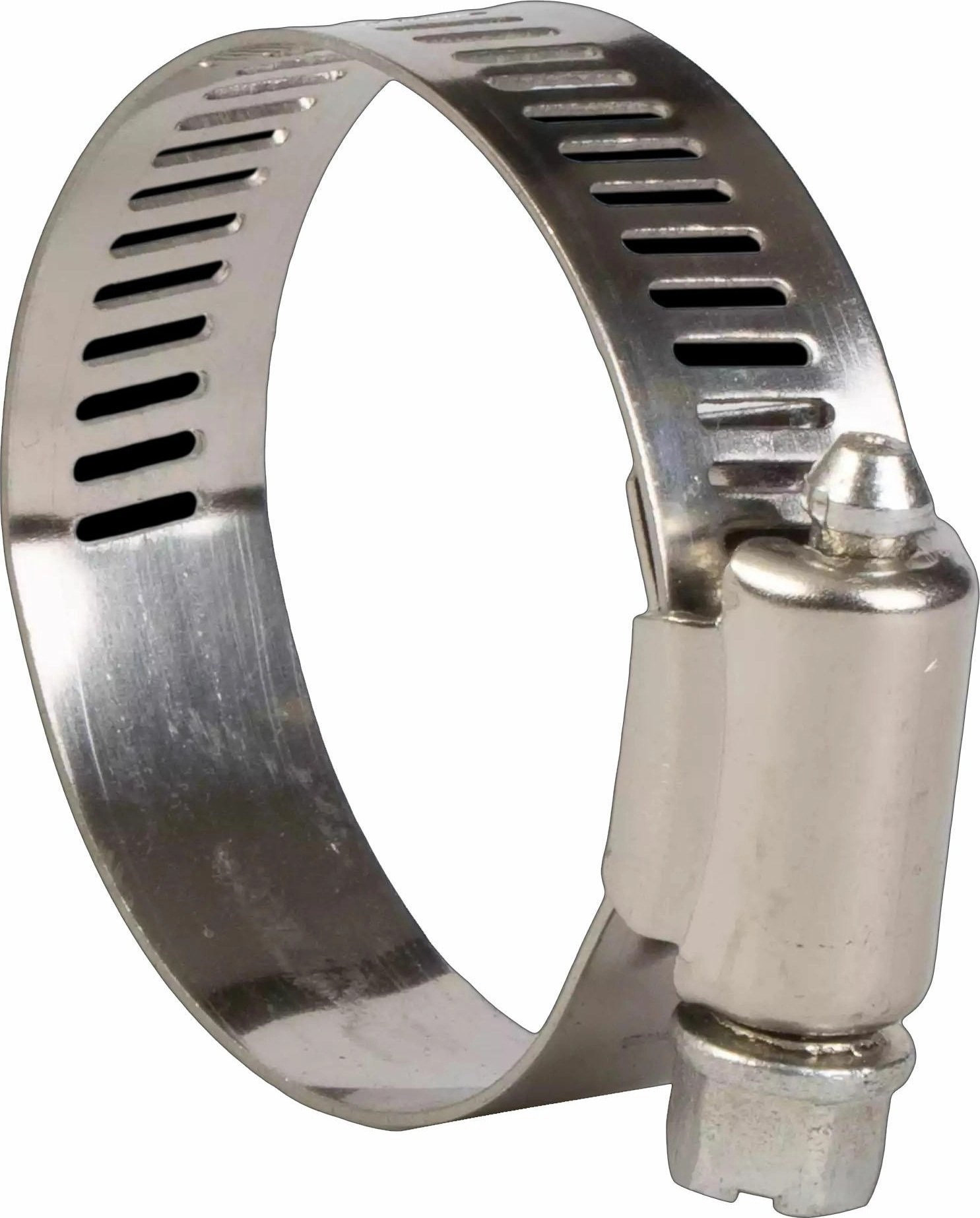 SNAIL BAND 25-40mm/25pcs. 37-027 aw_1040715 6900223357674