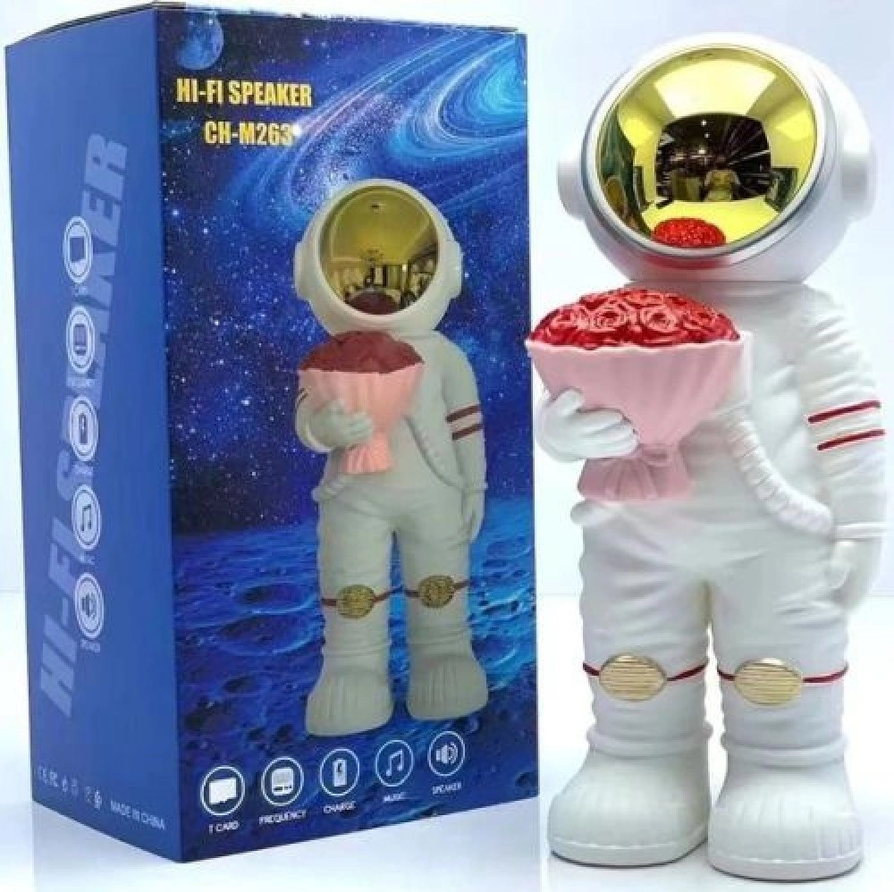 Blackmoon CH-M263 Astronaut with Bluetooth speaker