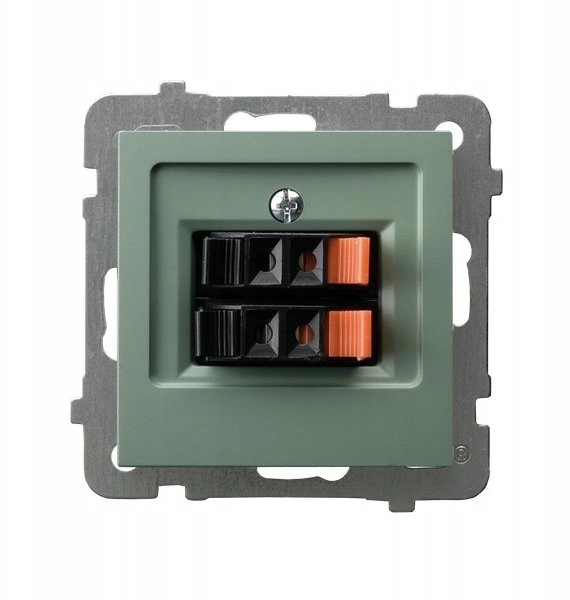 AS Double loudspeaker socket  matt green