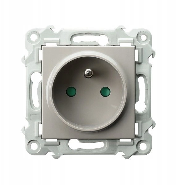Ospel Single socket with grounding and