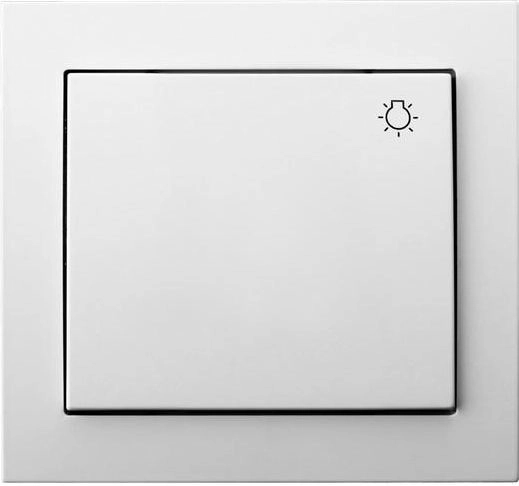Ospel Direct light switch  single make