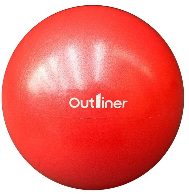 MINI GYM BALL PVC LS3225 25CM