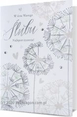 B6 Wedding Pass HM200-2079 AL954DRA 5901854959429