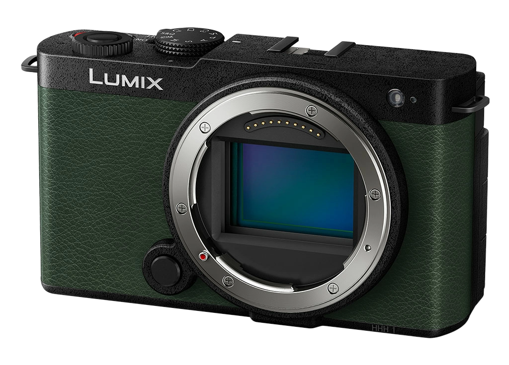Panasonic Lumix S9 Compact camera 24