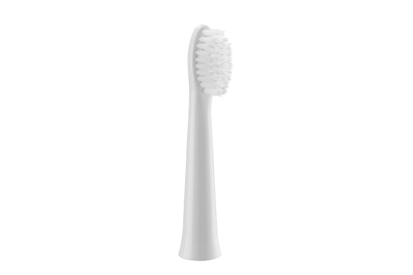 Panasonic WEW0972W503 toothbrush head 2 pc(s)