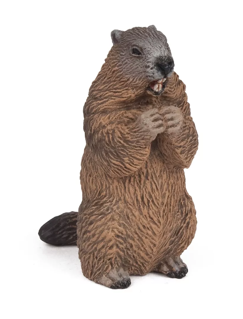 Papo Marmot 401241 3465000501280