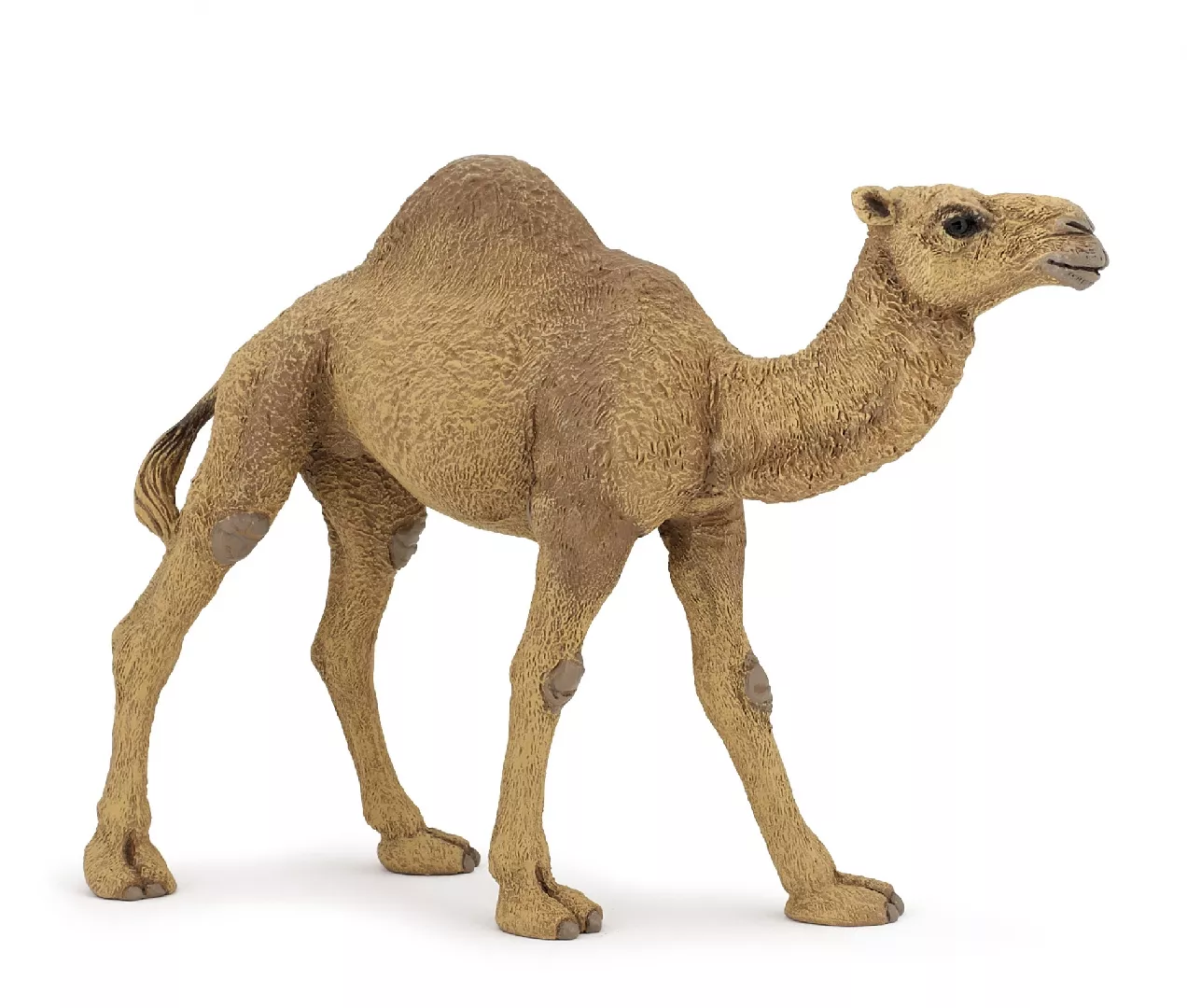 Papo Dromedary 401232 3465000501518