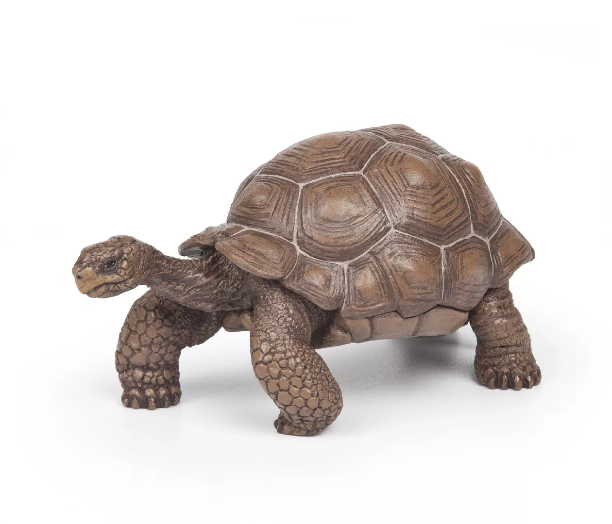 Papo Galápagos Tortoise RUSS2106
