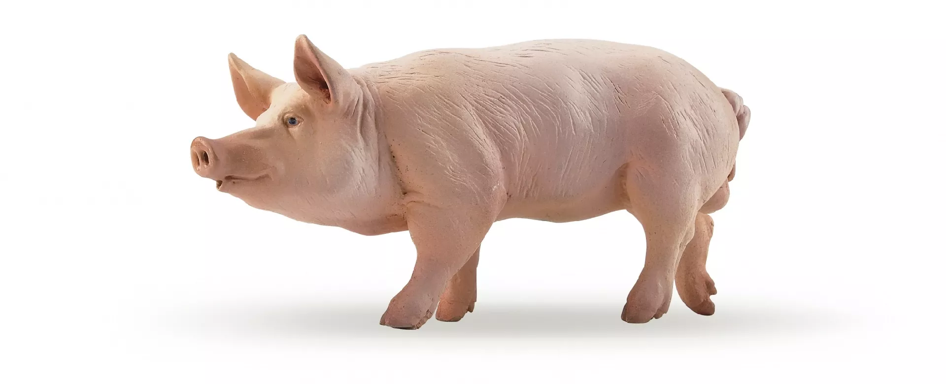 Papo Boar RUSS2110 3465000510442