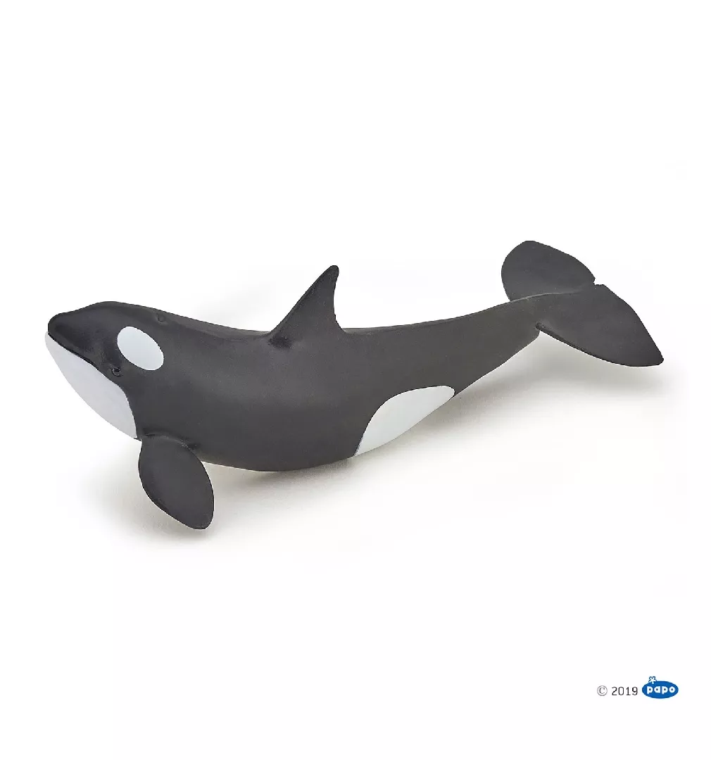 Papo Killer Whale Calf 401312 3465000560409