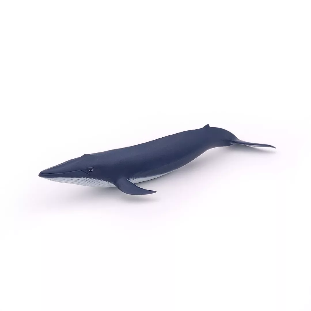 Papo Blue Whale Calf 401313 3465000560416