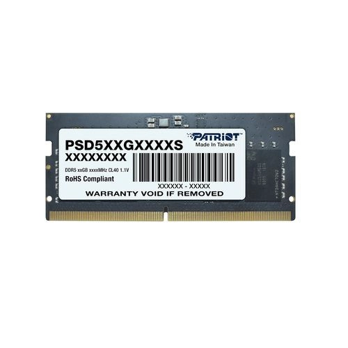 Patriot Memory Signature PSD58G560041S memory module