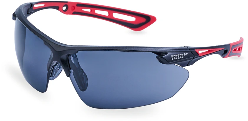 Pegaso Safety glasses Aventur Max 210