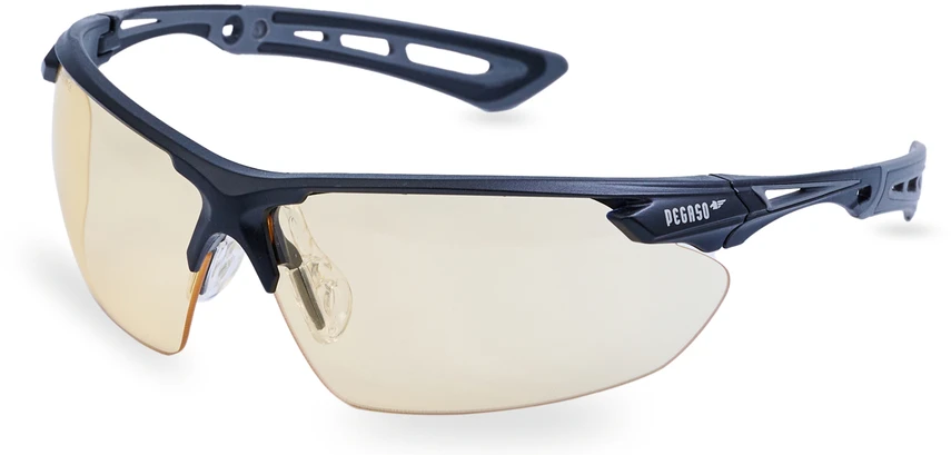 Pegaso Safety glasses Aventur Max 210