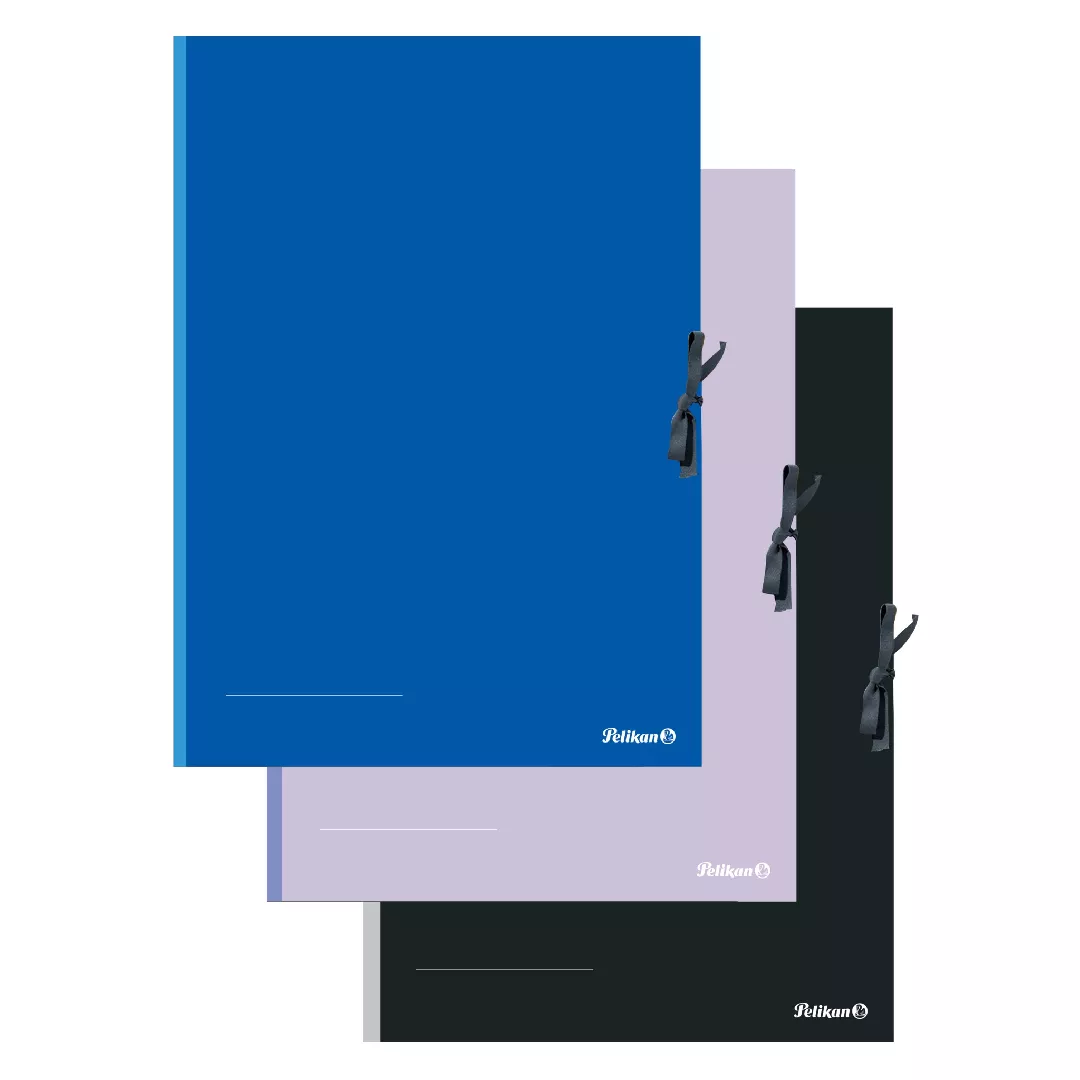 Pelikan 276870 folder Cardboard Black Blue