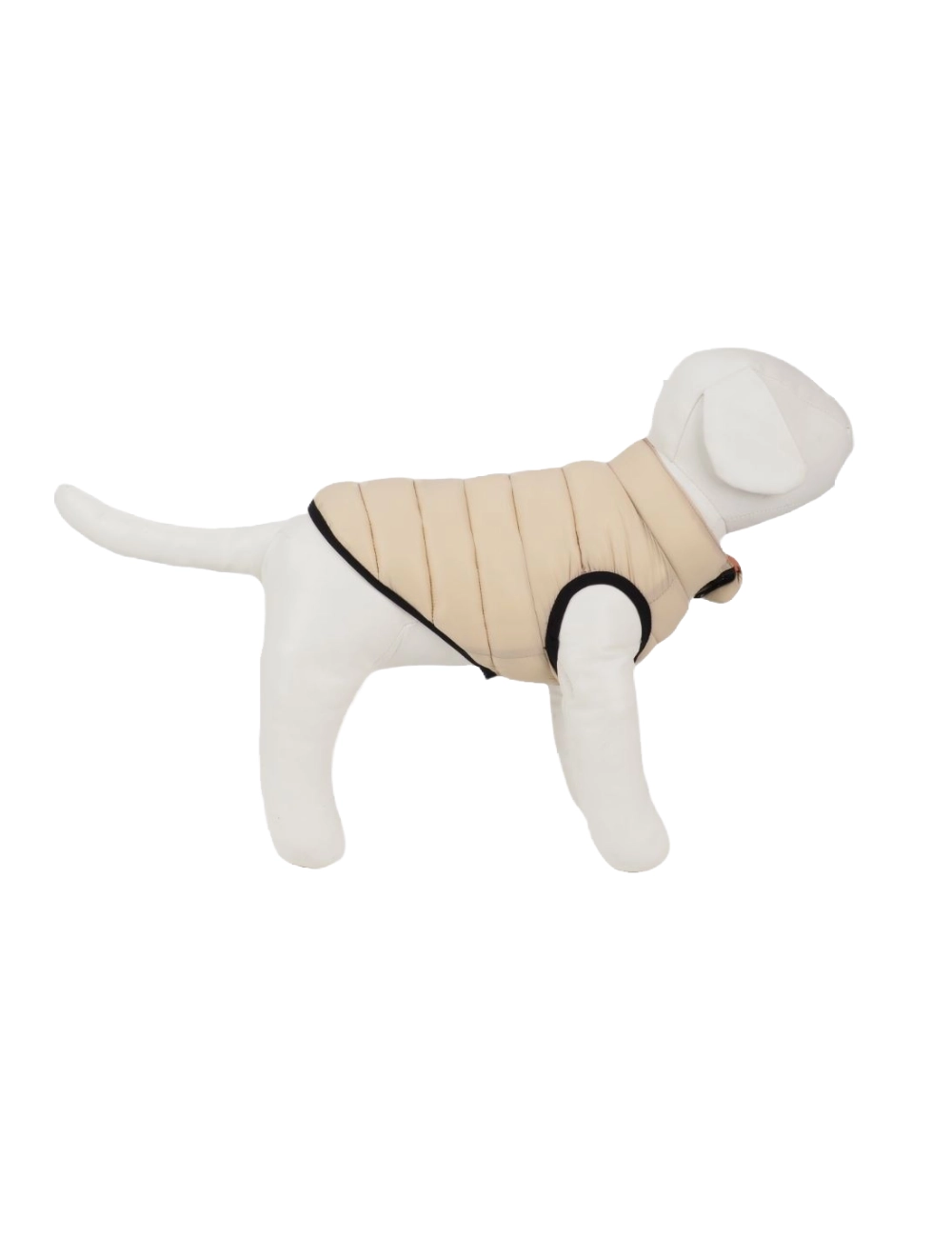 Peppy Buddy - Sporty Termo dog