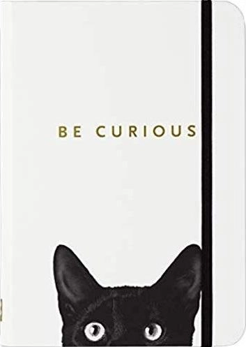 Mini Curious Cat notebook 340866 9781441328304