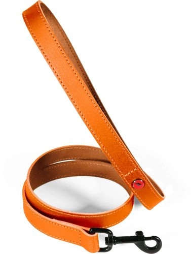 Pets Collection ZOLUX Smycz dla psa