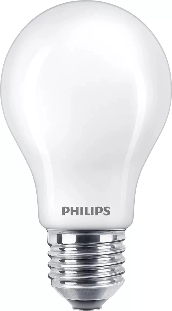 Philips Filament Bulb Frosted 100W A60