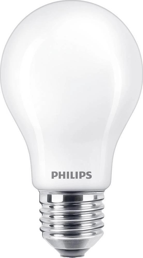 Philips Filament Bulb Frosted 100W A60