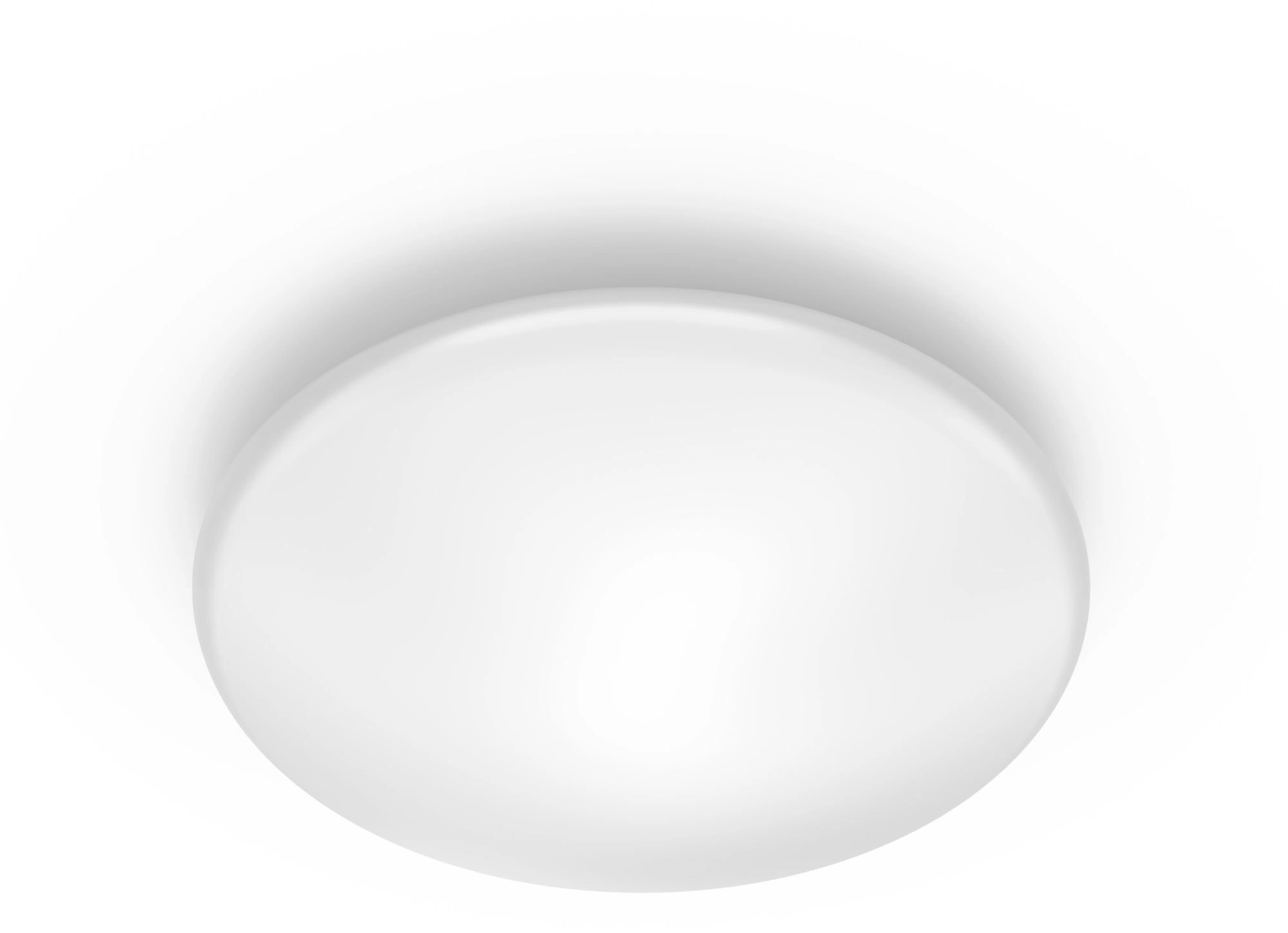 Philips Functional Shan Ceiling Light 12