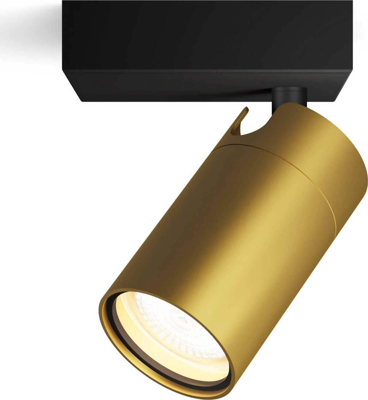 Philips Idris Ceiling/Wall Spotlight ( 8720169299177