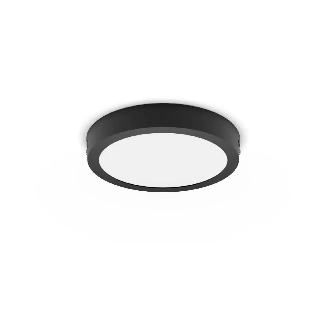 Philips Functional Magneos Ceiling Light 210mm